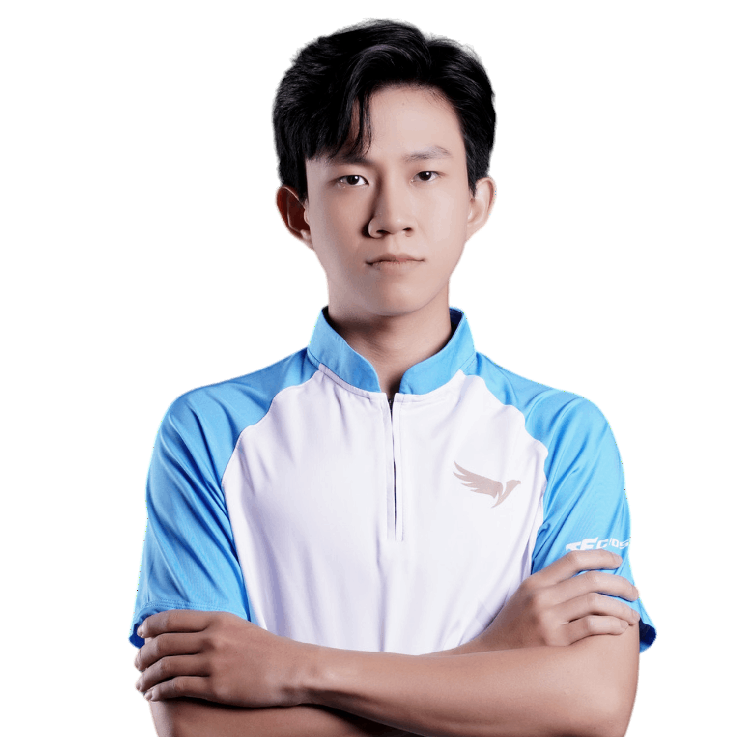 MemberAvatar