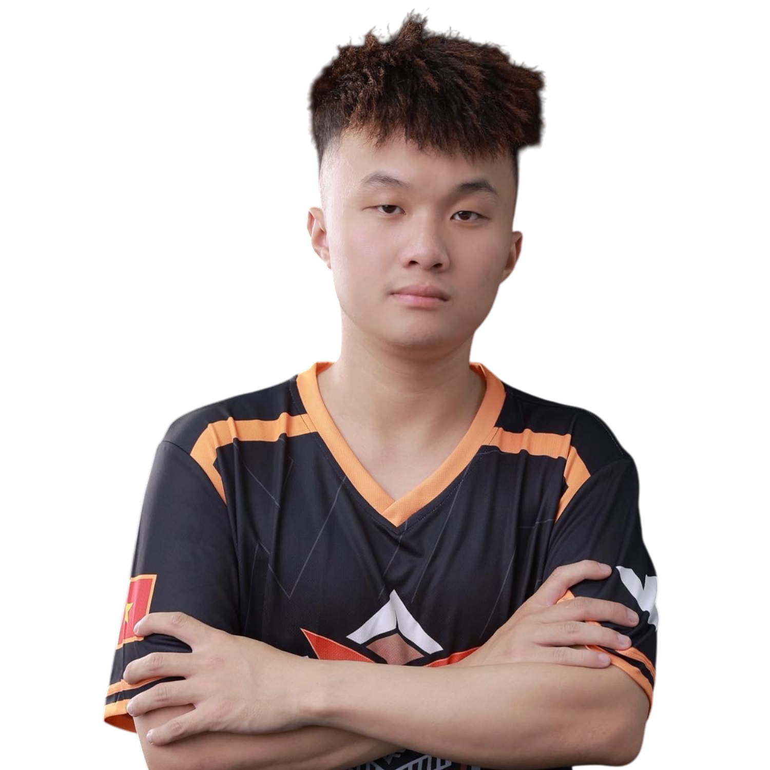 MemberAvatar